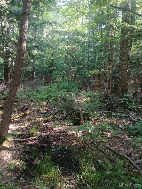 tbd 80 Acres County Highway Kk, Big Bay, MI 49808