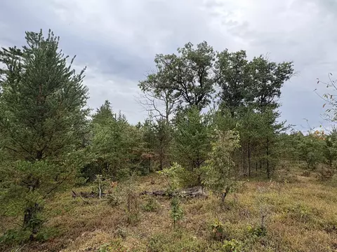 0 Hall, Roscommon, MI 48653