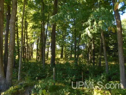 tbd Fire Lk, Crystal Falls, MI 49920