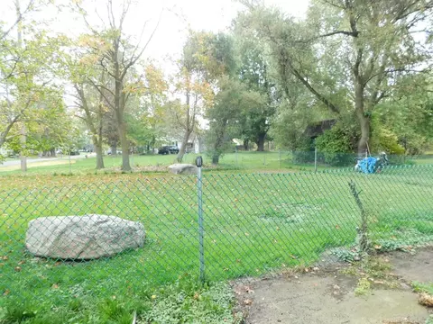 Exterior - 401 E Ml, Capac, MI 48014 photo 5 of 5