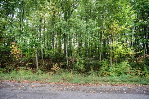 lot51 Thunderbird, Wakefield, MI 49968