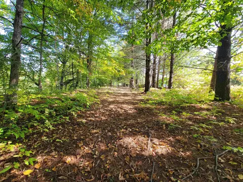 1 3 Acres White, Gladwin, MI 48624 photo 6