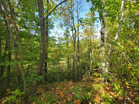 1 3 Acres White, Gladwin, MI 48624 photo 7
