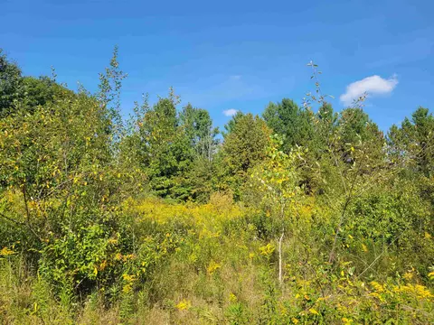 1 3 Acres White, Gladwin, MI 48624 photo 3