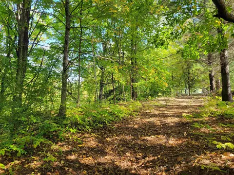 1 3 Acres White, Gladwin, MI 48624 photo 2