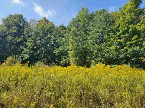 1 3 Acres White, Gladwin, MI 48624