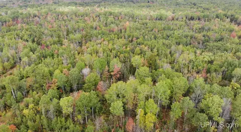 tbd 2 Norwich, Ewen, MI 49925