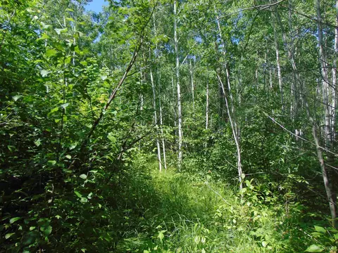 tbd 2 Norwich, Ewen, MI 49925 photo 7