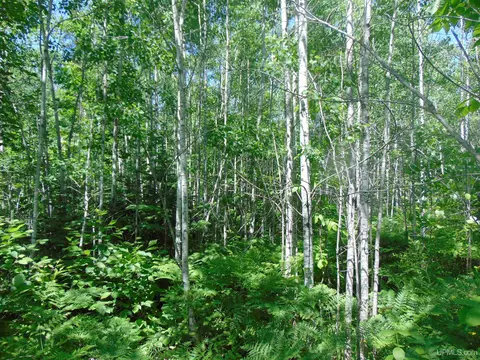 tbd 2 Norwich, Ewen, MI 49925 photo 12
