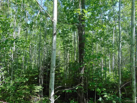 tbd 2 Norwich, Ewen, MI 49925 photo 11