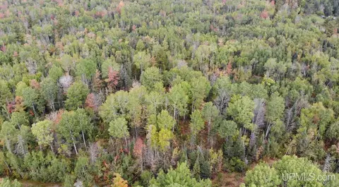tbd 3 Norwich, Ewen, MI 49925