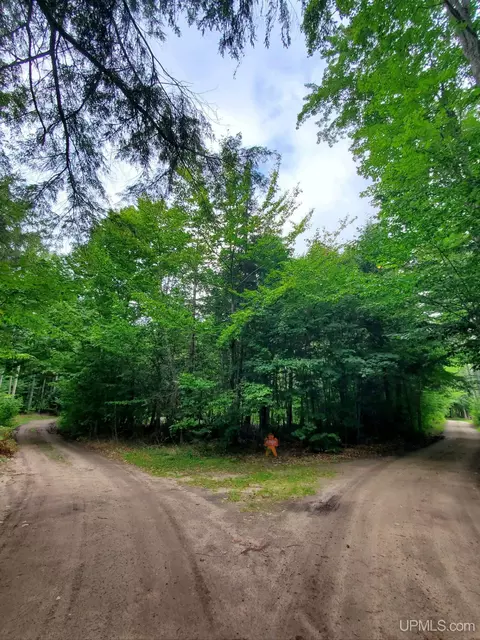 tbd N Summer Homes, Au Train, MI 49806