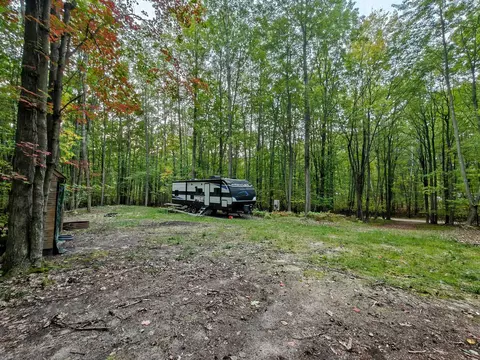 lot S 1315-1316 Spruce Hl, Farwell, MI 48622