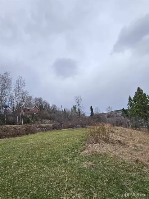 Other - 101 W 2nd, Caspian, MI 49915 photo 16 of 16