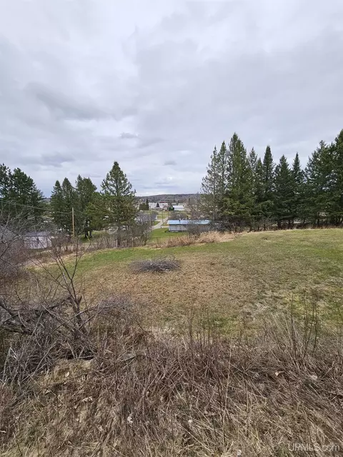 Other - 101 W 2nd, Caspian, MI 49915 photo 14 of 16