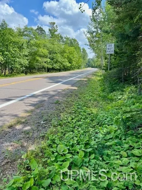 tbd Us 41, Copper Harbor, MI 49918 photo 5