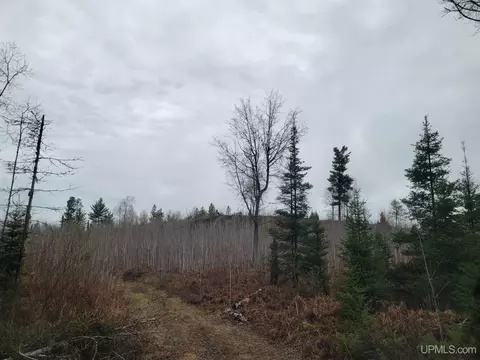 tbd Camp 5, Crystal Falls, MI 49920