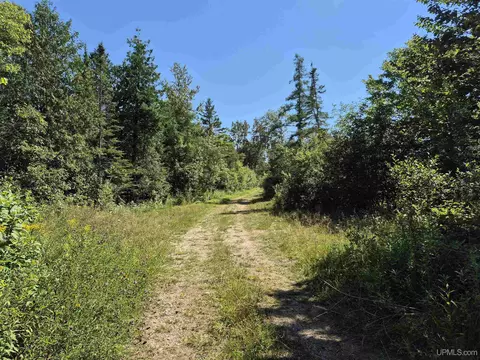 160 Acres Halverson, Gulliver, MI 49840