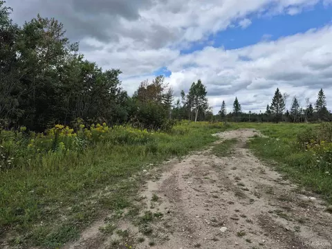 W 40 Acres Frenette, Gulliver, MI 49840