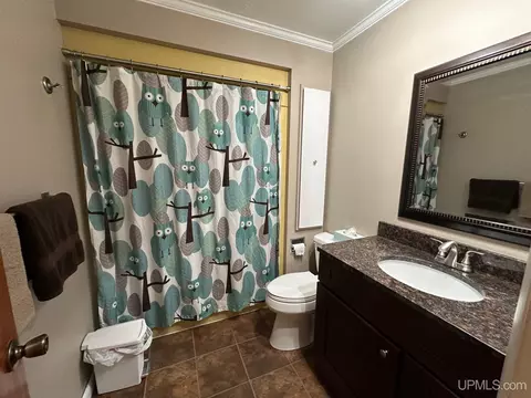 706 Duncan, Ishpeming, MI 49849 photo 30