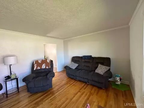 706 Duncan, Ishpeming, MI 49849 photo 8