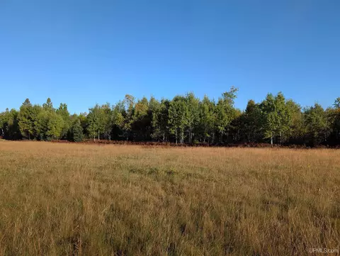 40 Acres Way Dm, Crystal Falls, MI 49920