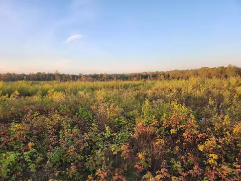 40 Acres, Harrison, MI 48625