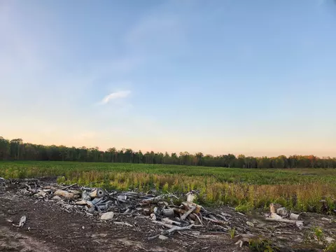 40 Acres, Harrison, MI 48625 photo 4