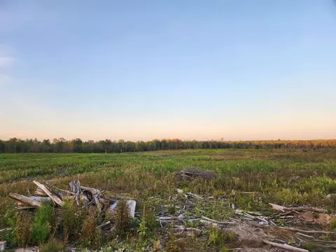 40 Acres, Harrison, MI 48625 photo 2