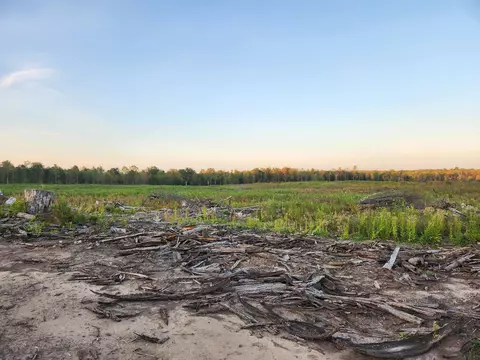 40 Acres, Harrison, MI 48625 photo 5
