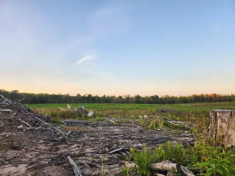 40 Acres, Harrison, MI 48625 photo 3