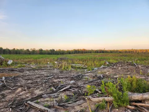 40 Acres, Harrison, MI 48625 photo 8