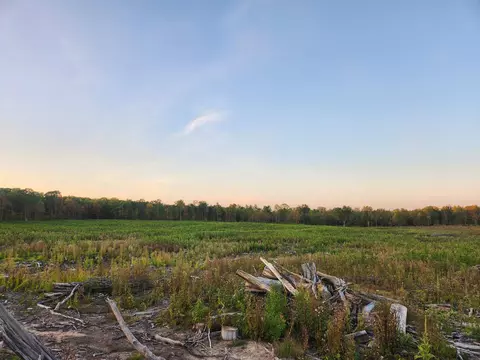 40 Acres, Harrison, MI 48625 photo 9