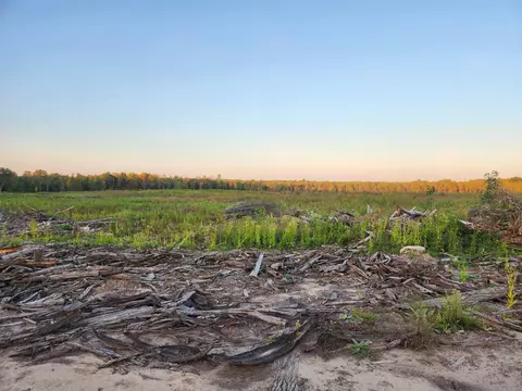40 Acres, Harrison, MI 48625 photo 7
