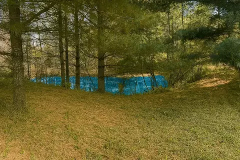 View/Area - 2670 Bass Lk, Lupton, MI 48635 photo 6 of 10