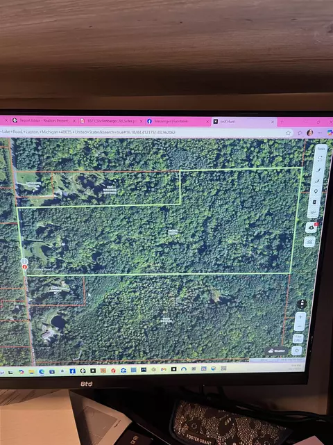 View/Area - 2670 Bass Lk, Lupton, MI 48635 photo 5 of 10
