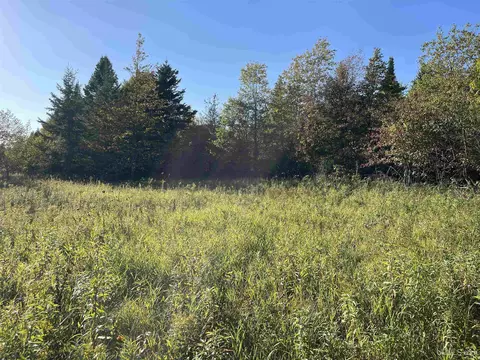 40 Acres County Pit #PARCEL 4, Manistique, MI 49854