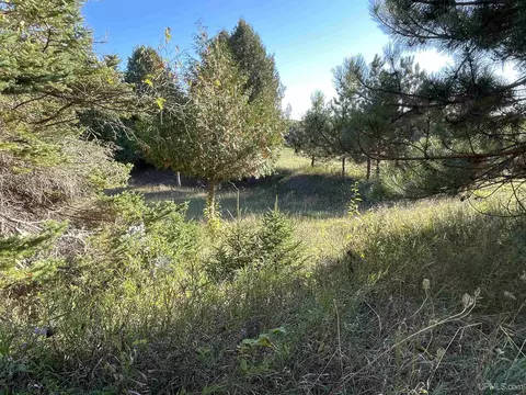 40 Acres County Pit #PARCEL 2, Manistique, MI 49854