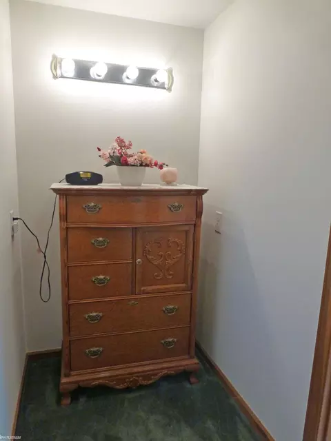 7922 Springborn, Casco, MI 48064 photo 59