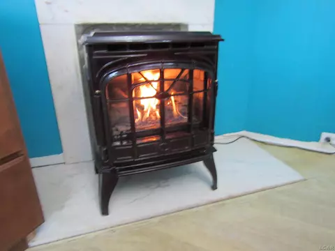 705 W Chicago, Tecumseh, MI 49286 photo 10