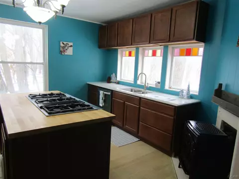 705 W Chicago, Tecumseh, MI 49286 photo 5