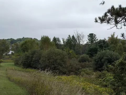 0 River Woodland, Gladwin, MI 48624