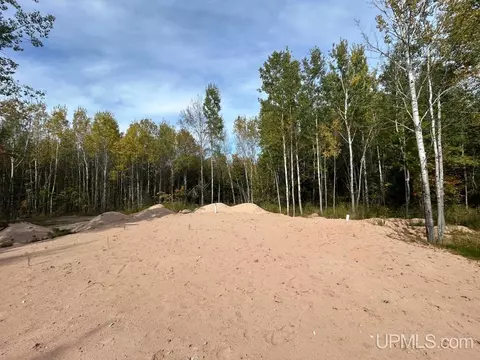40 Acres Dalton, Skandia, MI 49885