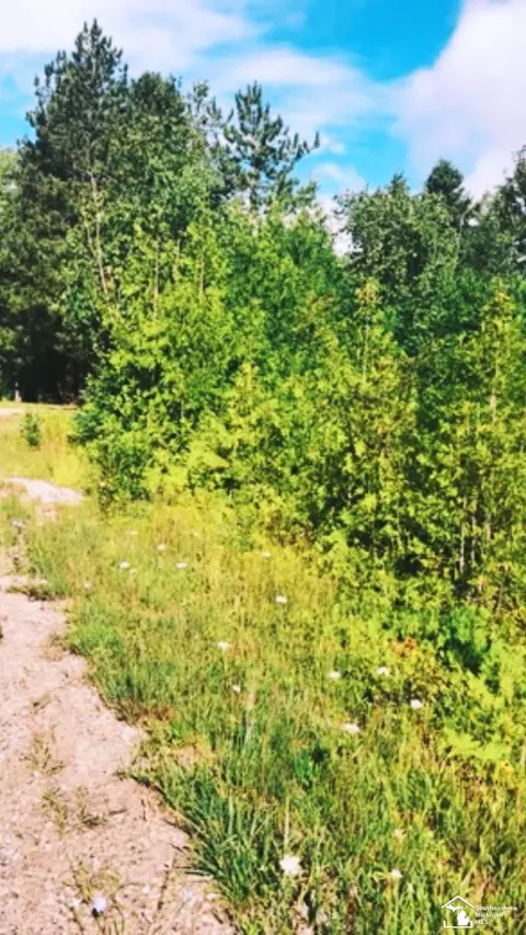0000 Grace Hbr, Millersburg, MI 49765