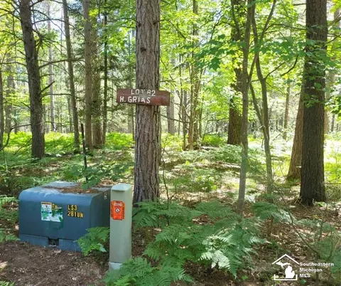 lot82 Evelyn, Grayling, MI 49738