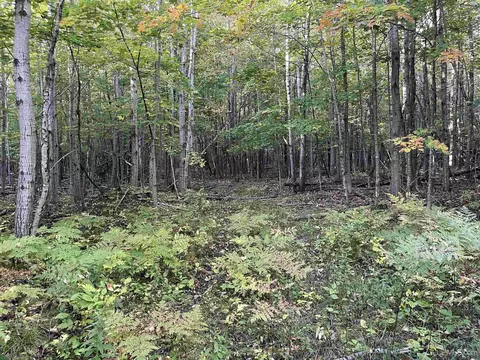 40 Acres Arrowood Rd #PARCEL 1, Manistique, MI 49895