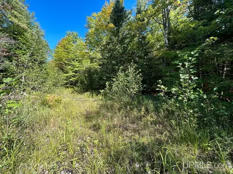 40 Acres Cp, Shingleton, MI 49884 photo 2