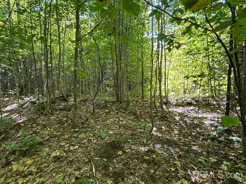 40 Acres Cp, Shingleton, MI 49884 photo 4