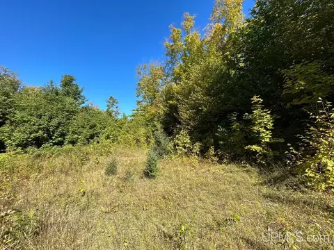 40 Acres Cp, Shingleton, MI 49884