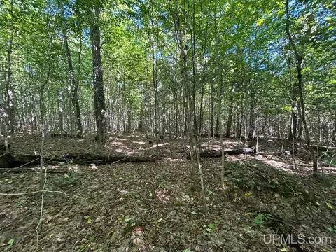 40 Acres Cp, Shingleton, MI 49884 photo 12